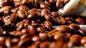 Conab estima queda de 11,3% na safra total de café do Brasil em 2017