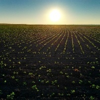 Falta de chuvas no Centro-Norte, excesso no Sul