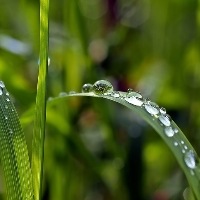 Perspectivas agrícolas: o que a primavera nos reserva