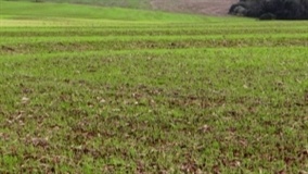 Workshop em Campinas ensinará como desenvolver produtos mais sustentáveis