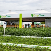 CropChem lança herbicida na Expodireto Cotrijal