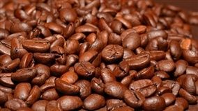 Brasil já colheu mais de 5 mi sacas de café, diz Safras & Mercado