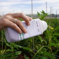 Alemanha quer reduzir uso de pesticidas pela metade com MIP