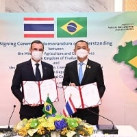 Brasil e Tailândia assinam memorando de cooperação agrícola