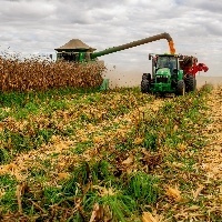 Brasil deve ter produção recorde de milho
