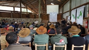 Pecuaristas participam de Dia de Campo em São Francisco de Paula