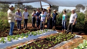 Curso Técnico em Agronegócio do SENAR/MS é destaque na gestão administrativa da agropecuária