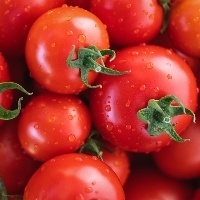 Marrocos restringe exportação de tomate devido a alta nos preços domésticos