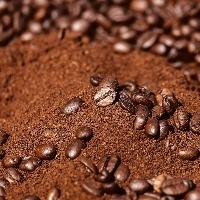 El Niño ameaça safra de café robusta
