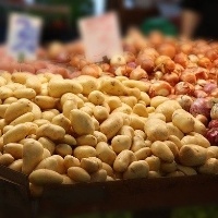 Praças sulistas e baiana ofertam bons volumes de batatas