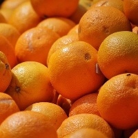 Três temporadas de baixas na produção de laranja