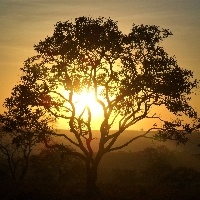 É possível diminuir os riscos das adversidades climáticas?