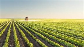 Faturamento da agropecuária cresce 1,7% acima da inflação