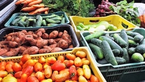 Agricultores participarão de Dia de Campo sobre colheita e pós-colheita de alimentos orgânicos