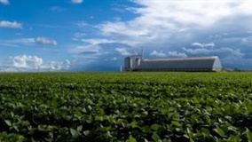 No SIAVS, seminário debate segurança e saúde no trabalho nas agroindústrias