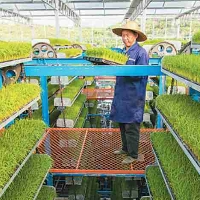 Saiba os países mais avanços em tecnologia agrícola