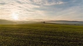 Brasil tem potencial para duplicar áreas irrigadas
