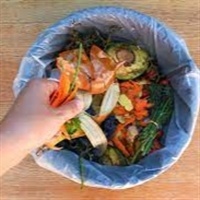 GRAVE: Brasil desperdiça 30% dos alimentos que produz