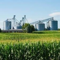 Agroindústria inicia ano melhor do que terminou