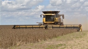 Troféu do recorde mundial de colheita de soja será entregue para produtor na Bahia Farm Show