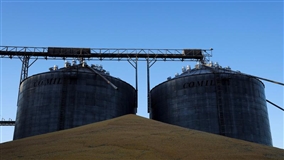 Produtores brasileiros ficam sem espaço em silos com acúmulo de safras recordes