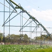 Produtor gaúcho contorna impactos da seca com irrigação