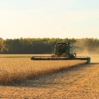 Safra de soja deve chegar a 156,0 milhões de toneladas, diz USDA
