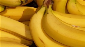 BANANA/CEPEA: Prata litoral registra o menor preço desde ago/15 na Ceagesp