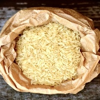 Divulgada programação da Abertura Oficial da Colheita do Arroz