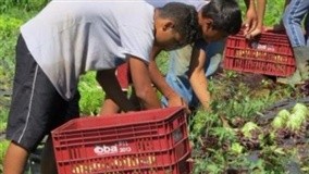 MPF realiza Audiência Pública sobre política de crédito à agricultura familiar no Tocantins