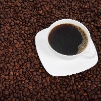 Produção de café em Rondônia ultrapassa três milhões de sacas