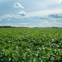 Quanto o Brasil gasta com a agropecuária?