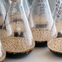 Mercado de bioinsumos cresce e exige novas pesquisas