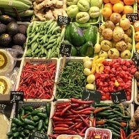 Orgânicos x transgênicos: veja as diferenças entre os alimentos