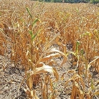 Mais 36 cidades entram em situação de emergência no RS