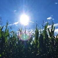 Terça-feira terá temperaturas elevadas e tempo seco
