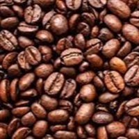 Dia de campo apresenta 64 clones do café Robustas Amazônicos