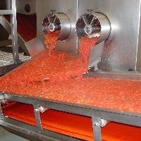 Projeto pioneiro usa agricultura de conservação no tomate industrial