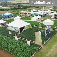Portfólio para grãos é foco de dia de campo no Paraná