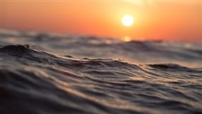 Outono brasileiro será marcado pela neutralidade