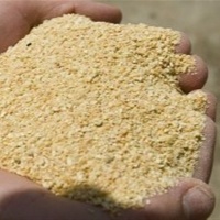 SOJA: Segura ou vende antecipada?