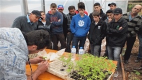 Olericultura é assunto de Dia de Campo em Sananduva