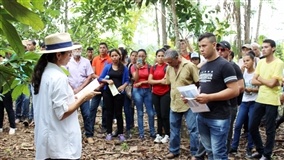 Eventos sobre cupuaçu mobilizam produtores em Roraima