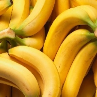 Oscilações de temperatura refletem na produção de banana