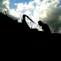 Agro registra maior saldo de empregos desde 2011