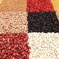Novas cultivares de feijão-de-corda apresentam qualidade de grão superior às atuais