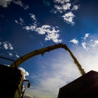 MS: projeção do VBP da Agropecuária em 2022 passa dos R$ 69 bilhões