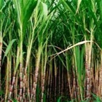 ATR Paraíba: valores têm alta de 1,79%