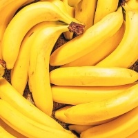 Banana: exportação brasileira ao Mercosul está devagar