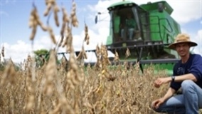 Dia do Agricultor: amor pelo cultivo da terra